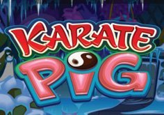 Karate Pig Slot