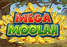 Mega Moolah Slot